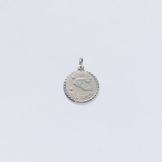 Small Zodiac Charms