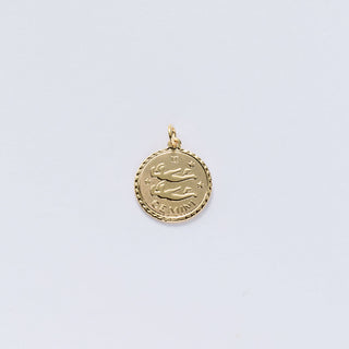 Small Zodiac Charms