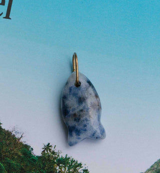 The Little Lucky Fish Charm