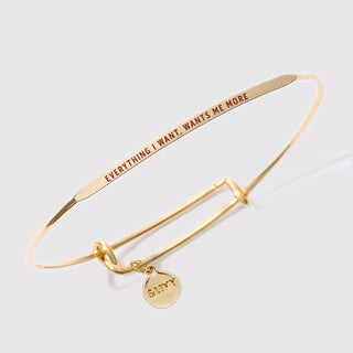 Everything I Want, Wants Me More